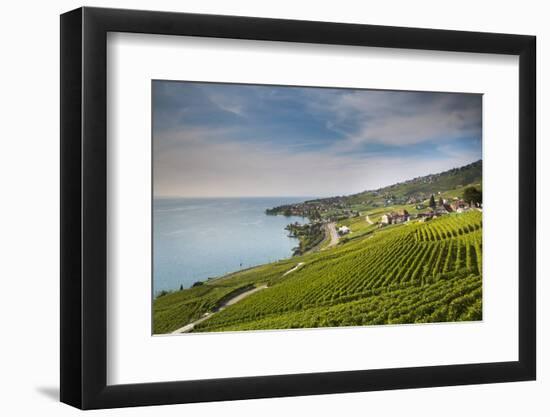 Lavaux Terraced Vineyards on Lake Geneva, Montreux, Canton Vaud, Switzerland, Europe-Angelo Cavalli-Framed Photographic Print