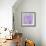 Lavendar Fusion-Jacob Berghoef-Framed Photographic Print displayed on a wall