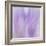 Lavendar Fusion-Jacob Berghoef-Framed Photographic Print