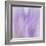 Lavendar Fusion-Jacob Berghoef-Framed Photographic Print