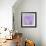 Lavendar Fusion-Jacob Berghoef-Framed Photographic Print displayed on a wall
