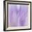 Lavendar Fusion-Jacob Berghoef-Framed Photographic Print