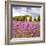 Lavendar Garden-Janet Slater-Framed Photographic Print