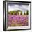 Lavendar Garden-Janet Slater-Framed Photographic Print