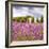 Lavendar Garden-Janet Slater-Framed Photographic Print