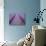 Lavendar Rows-Doug Chinnery-Photographic Print displayed on a wall