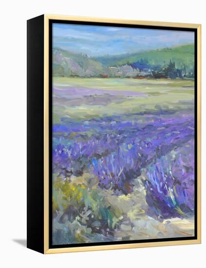 LAVENDAR-ALLAYN STEVENS-Framed Stretched Canvas