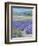 LAVENDAR-ALLAYN STEVENS-Framed Art Print