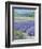 LAVENDAR-ALLAYN STEVENS-Framed Art Print