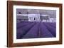 Lavender Abbey-Greg Gawlowski-Framed Photographic Print