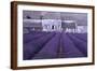 Lavender Abbey-Greg Gawlowski-Framed Photographic Print