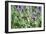 Lavender and Butterfly I-Dana Styber-Framed Photographic Print