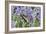 Lavender and Butterfly II-Dana Styber-Framed Photographic Print
