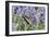 Lavender and Butterfly II-Dana Styber-Framed Photographic Print