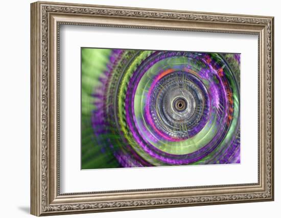 Lavender and leaves-Heidi Westum-Framed Photographic Print