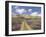 Lavender and Spring Flowers on the Road from the Bekaa Valley to the Mount Lebanon Range, Lebanon-Gavin Hellier-Framed Photographic Print