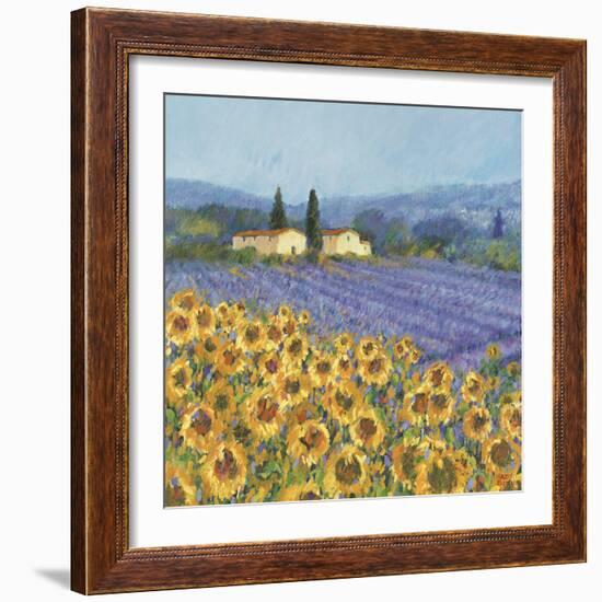 Lavender And Sunflowers, Provence-Hazel Barker-Framed Giclee Print