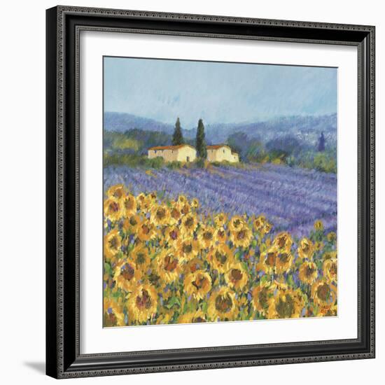 Lavender And Sunflowers, Provence-Hazel Barker-Framed Giclee Print