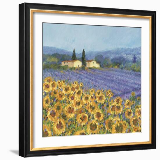 Lavender And Sunflowers, Provence-Hazel Barker-Framed Giclee Print