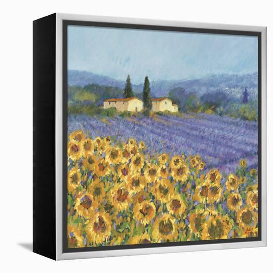 Lavender And Sunflowers, Provence-Hazel Barker-Framed Stretched Canvas