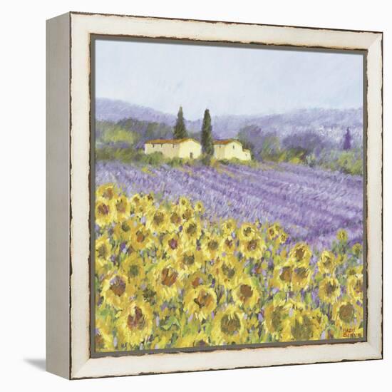 Lavender and Sunflowers, Provence-Hazel Barker-Framed Stretched Canvas