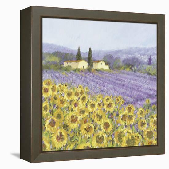 Lavender and Sunflowers, Provence-Hazel Barker-Framed Stretched Canvas