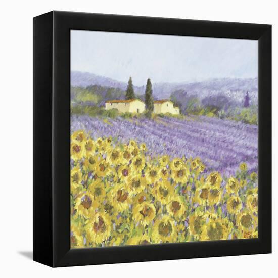 Lavender and Sunflowers, Provence-Hazel Barker-Framed Stretched Canvas