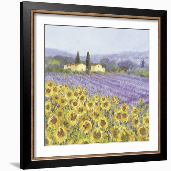 Lavender and Sunflowers, Provence-Hazel Barker-Framed Art Print