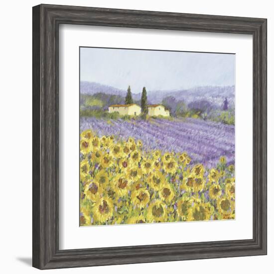 Lavender and Sunflowers, Provence-Hazel Barker-Framed Art Print