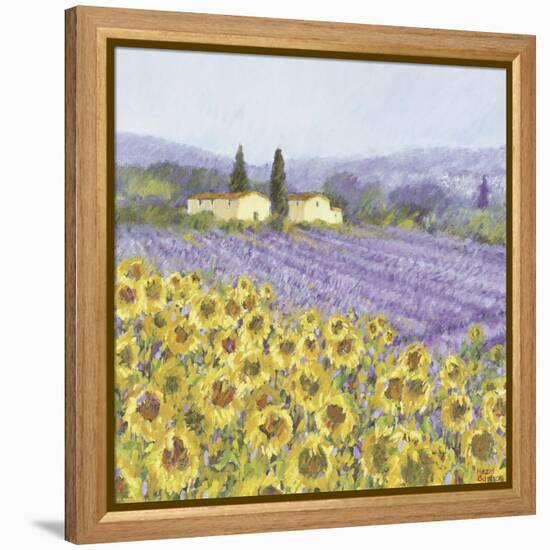 Lavender and Sunflowers, Provence-Hazel Barker-Framed Stretched Canvas