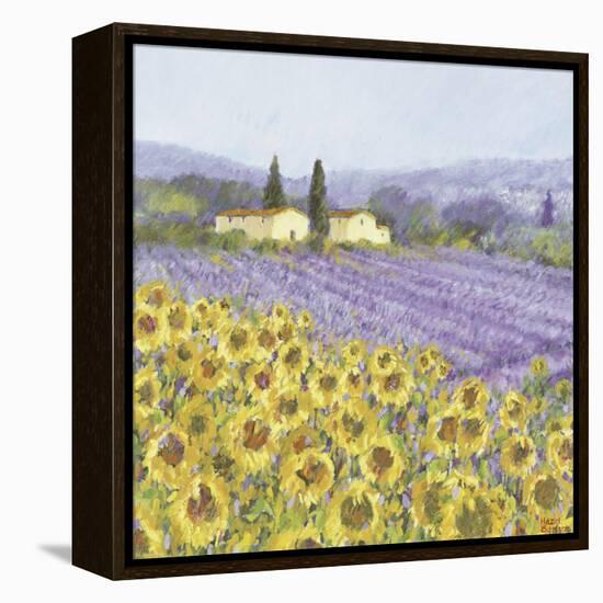 Lavender and Sunflowers, Provence-Hazel Barker-Framed Stretched Canvas