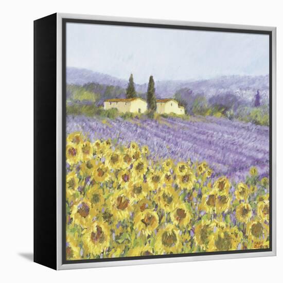 Lavender and Sunflowers, Provence-Hazel Barker-Framed Stretched Canvas