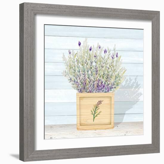 Lavender and Wood Square III-Janice Gaynor-Framed Art Print