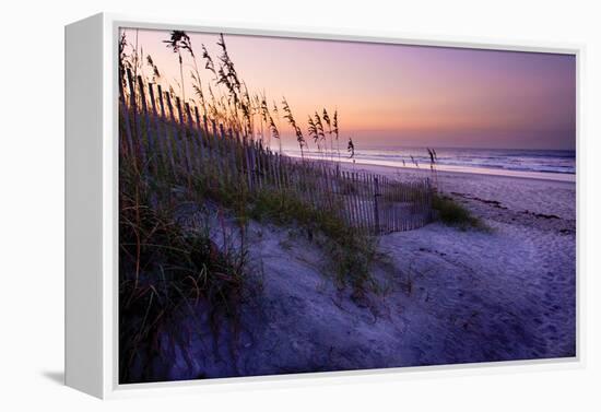 Lavender Beach I-Alan Hausenflock-Framed Premier Image Canvas