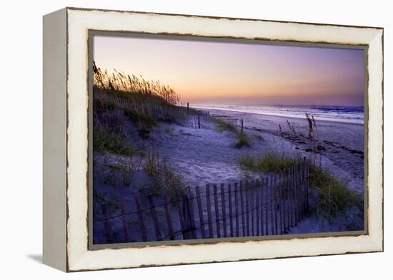 Lavender Beach II-Alan Hausenflock-Framed Premier Image Canvas