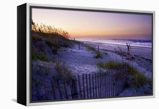 Lavender Beach II-Alan Hausenflock-Framed Premier Image Canvas