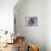 Lavender Bloom-Tracey Telik-Framed Stretched Canvas displayed on a wall