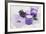 Lavender, Blossoms, Envelope, Four-Leafed Clover, Candles-Andrea Haase-Framed Photographic Print