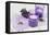 Lavender, Blossoms, Envelope, Four-Leafed Clover, Candles-Andrea Haase-Framed Premier Image Canvas