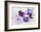 Lavender, Blossoms, Envelope, Four-Leafed Clover, Candles-Andrea Haase-Framed Photographic Print