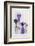 Lavender, Blossoms, Pansies, Chive Blossoms, Heart-Andrea Haase-Framed Photographic Print