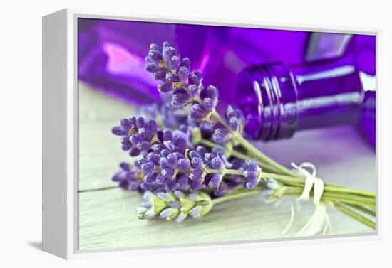 Lavender, Blossoms, Smell, Bottle, Close-Up-Andrea Haase-Framed Premier Image Canvas