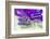 Lavender, Blossoms, Smell, Bottle, Close-Up-Andrea Haase-Framed Photographic Print