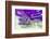 Lavender, Blossoms, Smell, Bottle, Close-Up-Andrea Haase-Framed Photographic Print