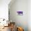 Lavender, Blossoms, Smell, Bottle, Close-Up-Andrea Haase-Mounted Photographic Print displayed on a wall