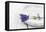 Lavender, Blossoms, Smell, Bunch, Bowl-Andrea Haase-Framed Premier Image Canvas