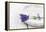 Lavender, Blossoms, Smell, Bunch, Bowl-Andrea Haase-Framed Premier Image Canvas