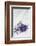 Lavender, Blossoms, Smell, Bunch, Wood-Andrea Haase-Framed Photographic Print