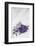 Lavender, Blossoms, Smell, Bunch, Wood-Andrea Haase-Framed Photographic Print