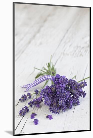 Lavender, Blossoms, Smell, Bunch, Wood-Andrea Haase-Mounted Photographic Print